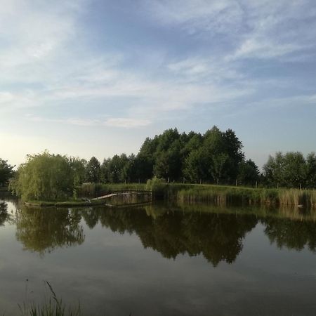فيلا Agrowczasy Nad Stawem Gartatowice المظهر الخارجي الصورة