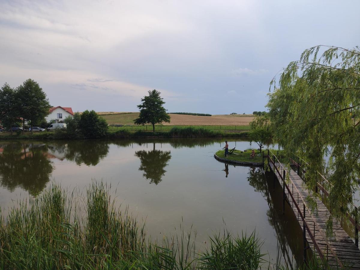 فيلا Agrowczasy Nad Stawem Gartatowice المظهر الخارجي الصورة