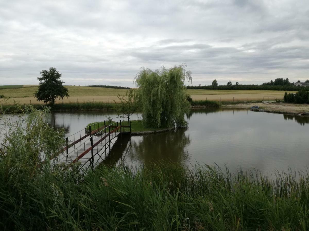 فيلا Agrowczasy Nad Stawem Gartatowice المظهر الخارجي الصورة
